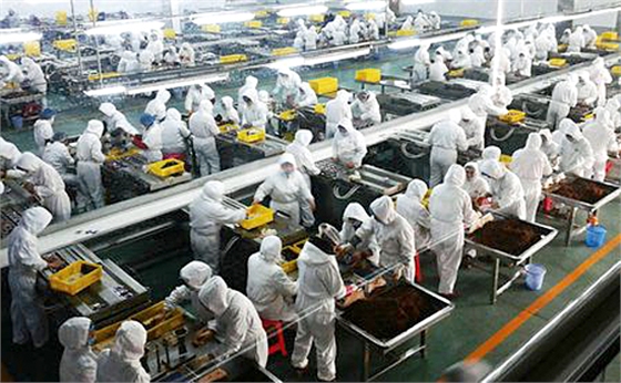 　　龍鐵鼓風(fēng)機：為你的生產(chǎn)制造服務(wù)保障!