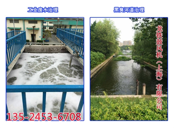 沉水風(fēng)機應(yīng)用