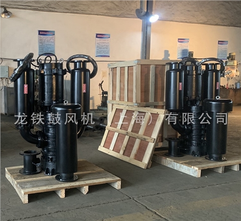 沉水魯氏鼓風(fēng)機