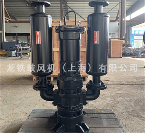 沉水魯氏鼓風(fēng)機
