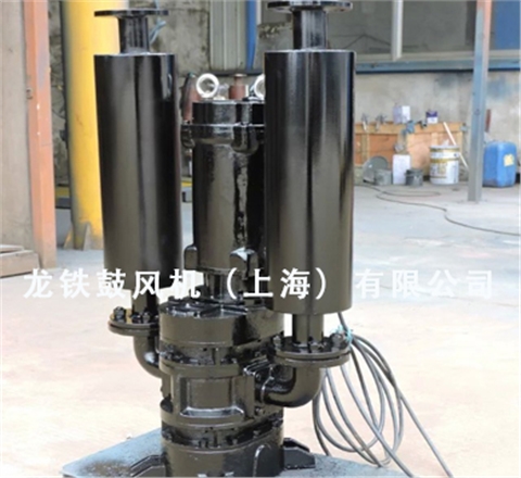 沉水魯氏鼓風(fēng)機