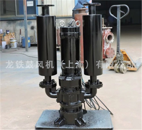 沉水魯氏鼓風(fēng)機