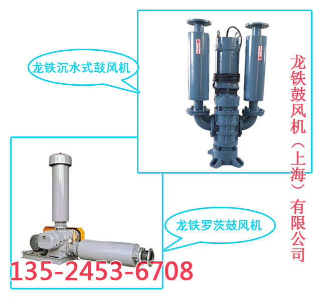 龍鐵羅茨風(fēng)機(jī) 龍鐵羅茨風(fēng)機(jī)