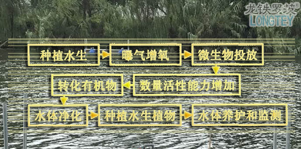 河道治理方案沉水風(fēng)機.jpg